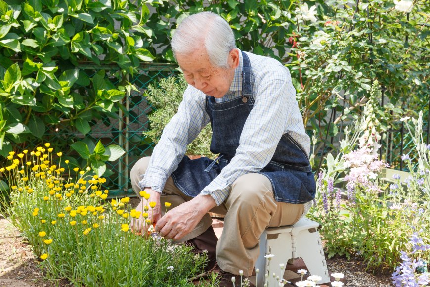 The Blue Zones Lifestyle: Secrets to a Longer, Healthier Life from the World’s Oldest People