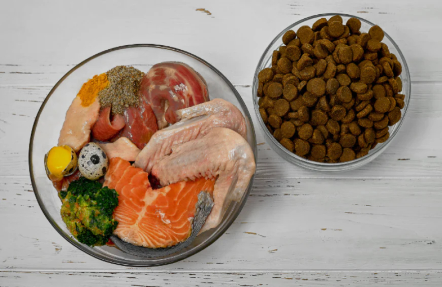 Raw vs. Kibble: Which Diet is Best for Your Pet’s Health?