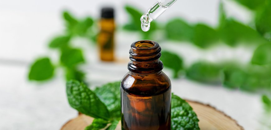 Essential Oils for Pets: Benefits, Safety, and How to Use Them