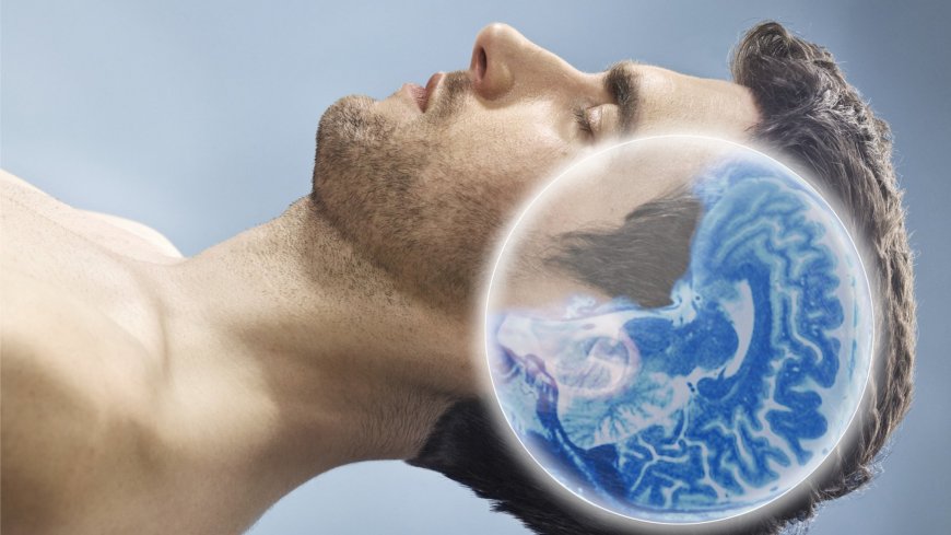 Brain Detox: How Sleep Activates the Glymphatic System for a Healthier Mind