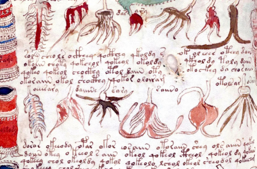 The Voynich Manuscript: A Mysterious Book Written in an Undeciphered Language