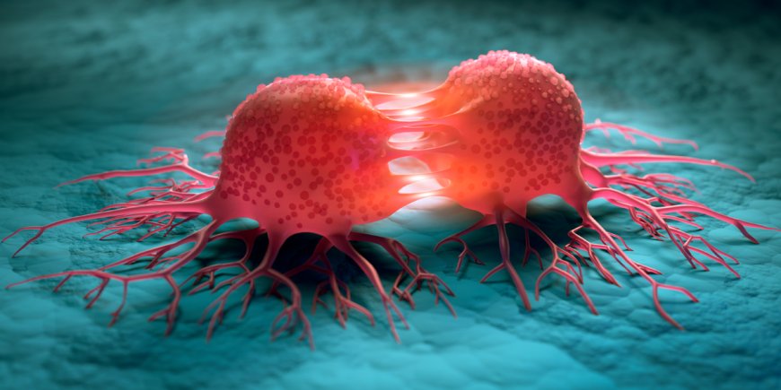 Scientists Uncover a Cancer ‘Switch’—Could This Be the Key to Stopping Tumors?