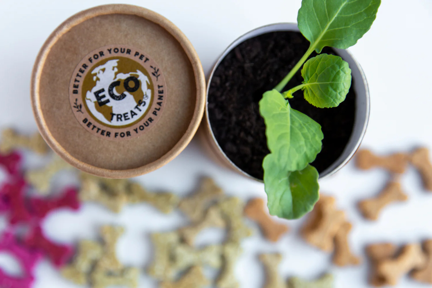 Eco-Friendly Pet Products: The Best Sustainable Toys, Beds & Grooming Essentials for Your Furry Friend